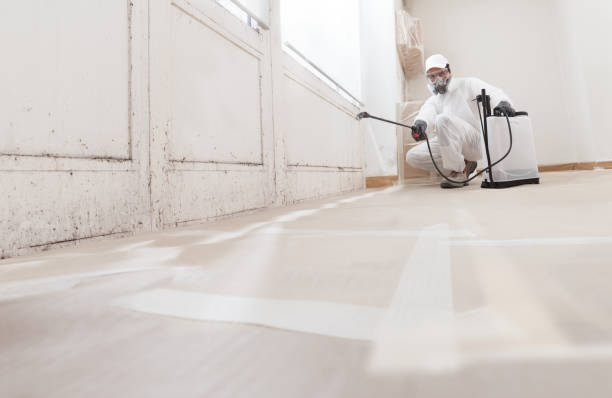 24/7 Emergency Crawl Space Mold Removal experts in Bellevue, IL